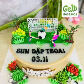 BÁNH SINH NHẬT RAU CÂU 4D ĐAM MÊ SÂN CỎ - GELLI - G0525005